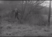 night of the living dead horror GIF