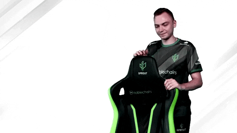 Faven Noblechairs GIF by Sprout