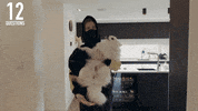 GIF by Alan Walker