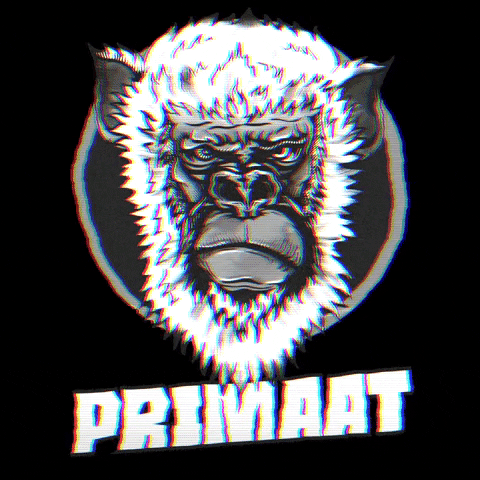 primaat giphygifmaker monkey primaat primaatband GIF