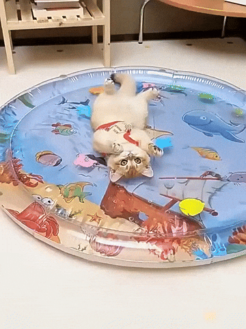 Miguel12297600 giphyupload GIF