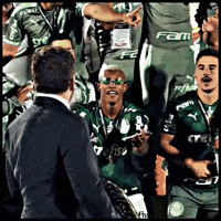 Libertadores Sep GIF