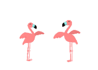 Wedding Flamingo Sticker by Tambu Klavye