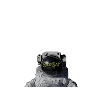 Space Travel Sticker by BeeCat Creative