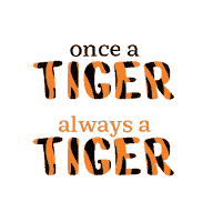 Go Tigers Sticker by Princeton University