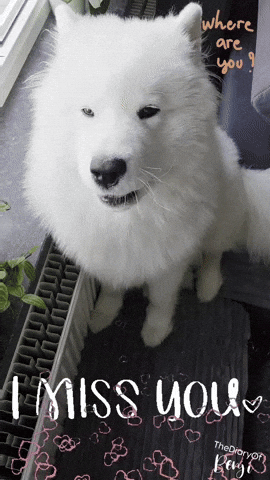 Hugs GIF