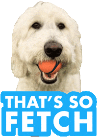 Dog Nom Sticker
