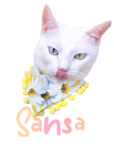 Cat Sticker