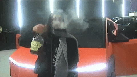 Drunk Drinks GIF by Luclover