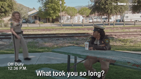 Reno 911 GIF by The Roku Channel