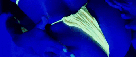 Molly Sheff G GIF by Winners Circle