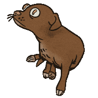 Dog Penny Sticker by Mike O.