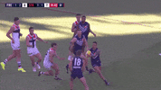 freodockers freodockers freohighlights aflfreosaints GIF