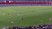 freohighlights aflfreosaints GIF by Fremantle Dockers