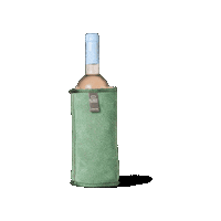 KYWIE_Amsterdam winecooler wooler kywie kywiemoments Sticker