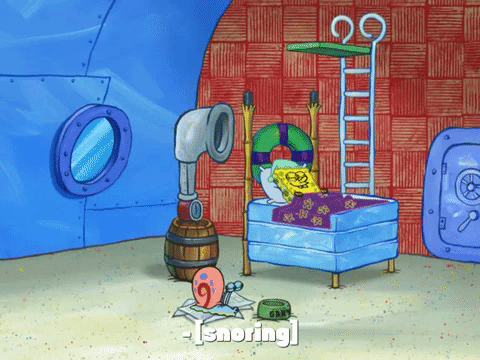 season 8 GIF by SpongeBob SquarePants