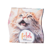 Dvm Fetch Sticker by dvm360