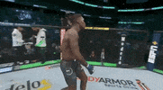 ufc sports sport ufc mma GIF