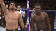 ufc sports sport ufc mma GIF