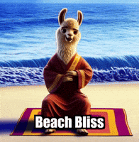 Beach Ocean GIF by dalaillamazen