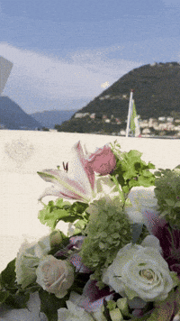 comoyachting Como comoyachting comoboat GIF