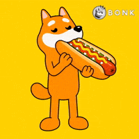 Crypto Usa GIF by BONK