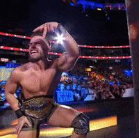 Hell Yeah Wwe GIF