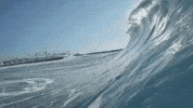 beach drowning GIF by Nu Skin