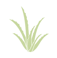 Aloe Vera Ds Sticker by DERMASENCE