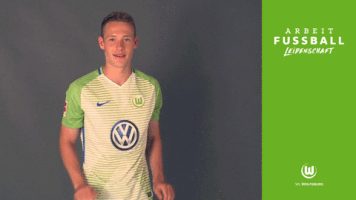 bundesliga wolves GIF by VfL Wolfsburg