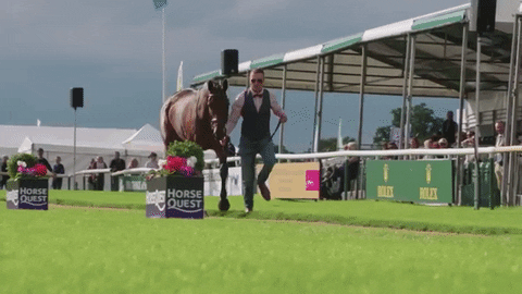 lrbht GIF by Land Rover Burghley Horse Trials