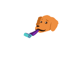 SollaMascotas love happy party dog Sticker