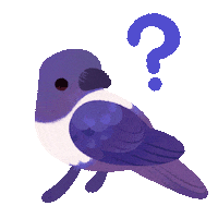 Bird What Sticker by pikaole