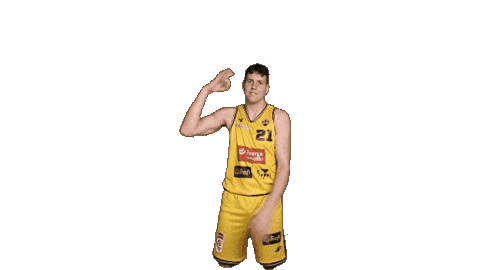 Celebration Basketball Sticker by Trefl Sopot