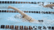 Colgateraiders GIF by Colgate Athletics