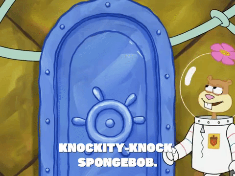 season 8 GIF by SpongeBob SquarePants