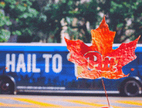 pittadmissions pitt h2p university of pittsburgh GIF