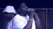 Lady Leshurr Comedy GIF by Don't Hate The Playaz