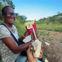 Ice Cream Cake Dessert GIF