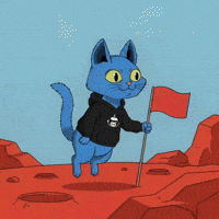 Warning Red Flag GIF by Doge Pound