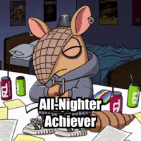 Study Exams GIF by Chillo Dillo