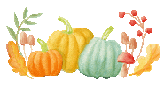 Pumpkin Patch Fall Sticker by Color Snack Creative Studio