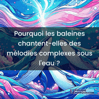 Baleines GIF by ExpliquePourquoi.com