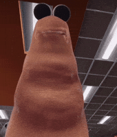 Blink Wtf GIF