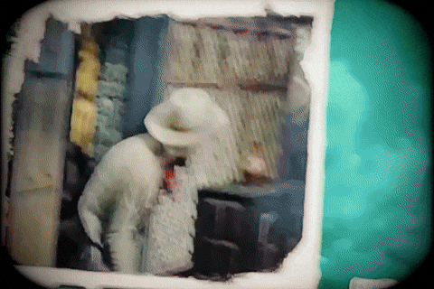 parkercross1 12524 duke the halls GIF