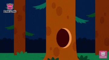 pinkfong_official surprise peekaboo racoon pinkfong GIF