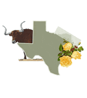 States Reaction Sticker by Crooked Media