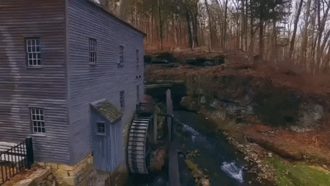 indiana GIF