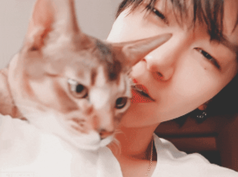 nemeiarieta  GIF