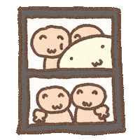 Photo Turtle Sticker